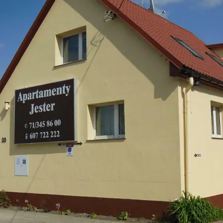 Jester Daire Wroclaw
